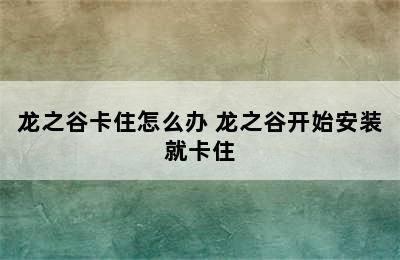 龙之谷卡住怎么办 龙之谷开始安装就卡住